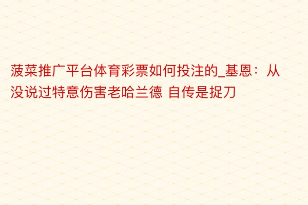 菠菜推广平台体育彩票如何投注的_基恩：从没说过特意伤害老哈兰德 自传是捉刀