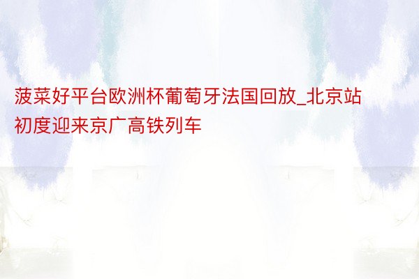 菠菜好平台欧洲杯葡萄牙法国回放_北京站初度迎来京广高铁列车